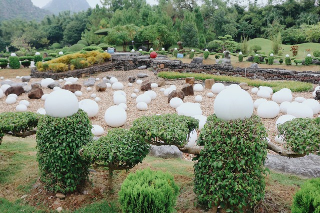 Khám phá vẻ đẹp cổ kính của nhà thờ Đan viện thánh mẫu Châu Sơn Ninh Bình - Ảnh 8.