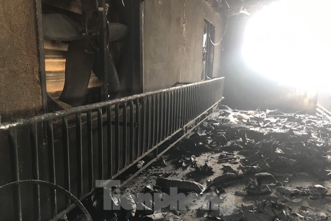 Cảnh tan hoang ở trang trại lợn hơn ngh&igrave;n con bị lửa thi&ecirc;u - Ảnh 4.