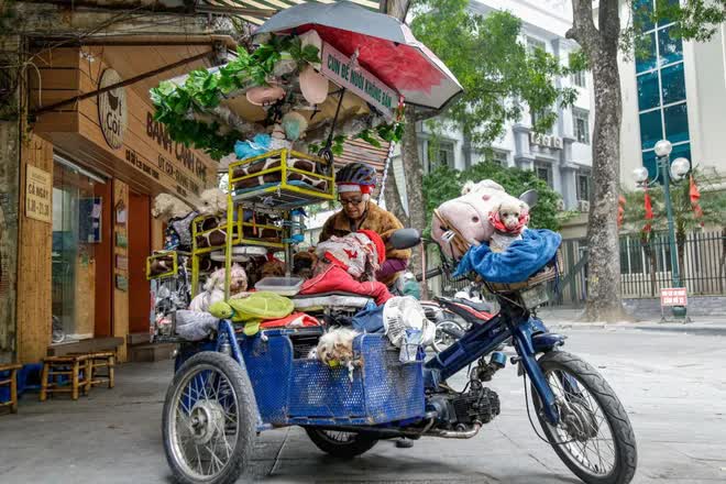 Câu chuyện đáng yêu mùa Noel này: Bà lão 71 tuổi và chiếc xe chở 13 chú cún khắp đường phố Hà Nội - Ảnh 4.