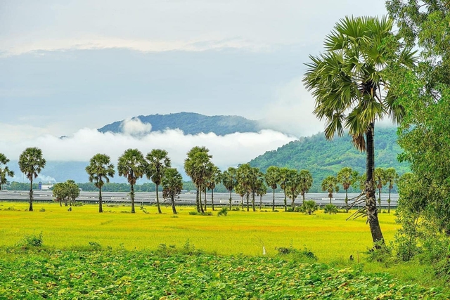 Được chọn làm nơi ghi hình “2 Ngày 1 Đêm” mùa 2, An Giang không thiếu góc chụp ảnh đẹp và các món ăn độc lạ - Ảnh 6.