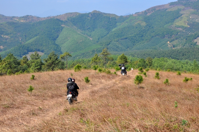 Tìm đến một vùng núi ở Quảng Ninh ngắm mùa cỏ cháy dịp cuối năm - Ảnh 2.
