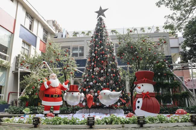 Không khí Noel tại các trường ĐH Việt Nam: Đâu cũng rực rỡ như trời Tây, có nơi còn tậu hẳn máy phun tuyết nhân tạo - Ảnh 5.