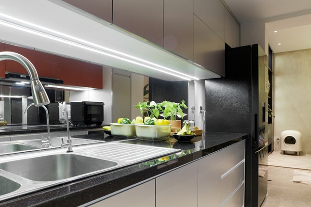 Từ nỗi thống khổ của những ngôi nhà nuôi mèo: 9X Hà Nội quyết tâm chi 500 triệu để cải tạo nhà, tránh vết mèo cào - Ảnh 15.