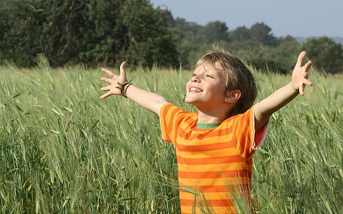 6 nguyên tắc cha mẹ Hà Lan áp dụng giúp con họ hạnh phúc và thành công - Ảnh 1.