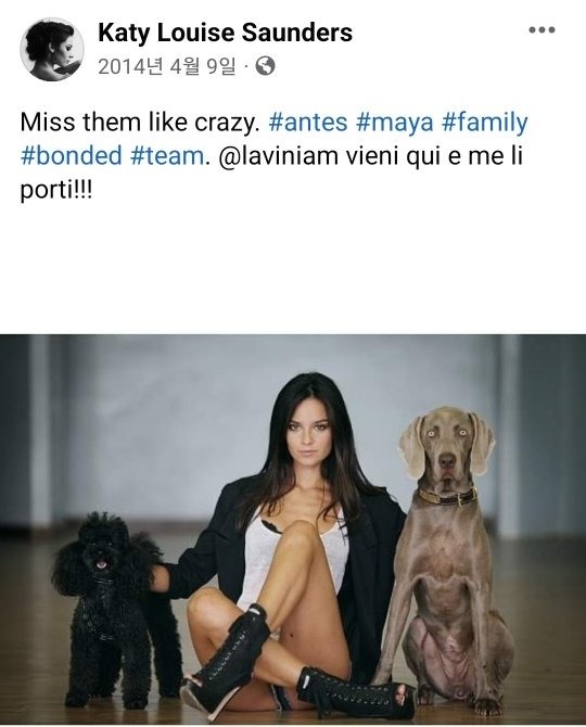 Cưng chiều bạn gái như Song Joong Ki: Công khai tình yêu, ân cần chăm sóc, lập tức lên tiếng bảo vệ trước mọi tin đồn - Ảnh 4. Cưng chiều bạn gái như Song Joong Ki: Công khai tình yêu, ân cần chăm sóc, lập tức lên tiếng bảo vệ trước mọi tin đồn - Ảnh 4.