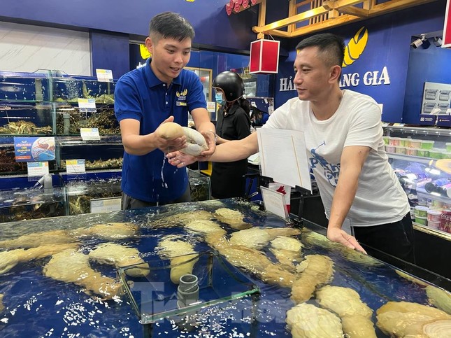 Ốc v&ograve;i voi v&agrave;ng ăn Tết gi&aacute; gần 5 triệu đồng một con vẫn ch&aacute;y h&agrave;ng - Ảnh 1.