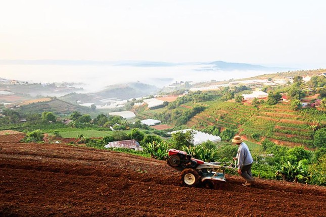 Lạ kỳ vụ mua đất gần 21 tỷ đồng sau hai tháng bán... 7,84 tỷ - Ảnh 1.