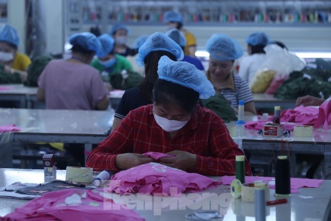 Hơn 1.200 công nhân ở Nghệ An mất việc làm dịp cuối năm - Ảnh 1.