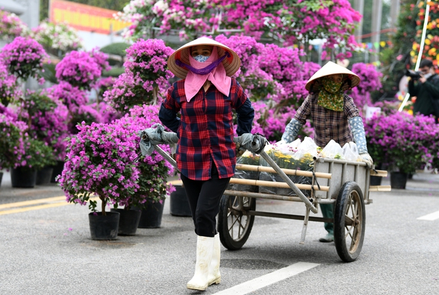 Giới trẻ Hà Nối rủ nhau đến “check in” lễ hội hoa Mê Linh 2022 - Ảnh 2.