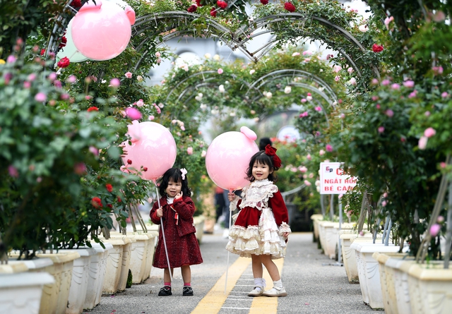 Giới trẻ Hà Nối rủ nhau đến “check in” lễ hội hoa Mê Linh 2022 - Ảnh 4.