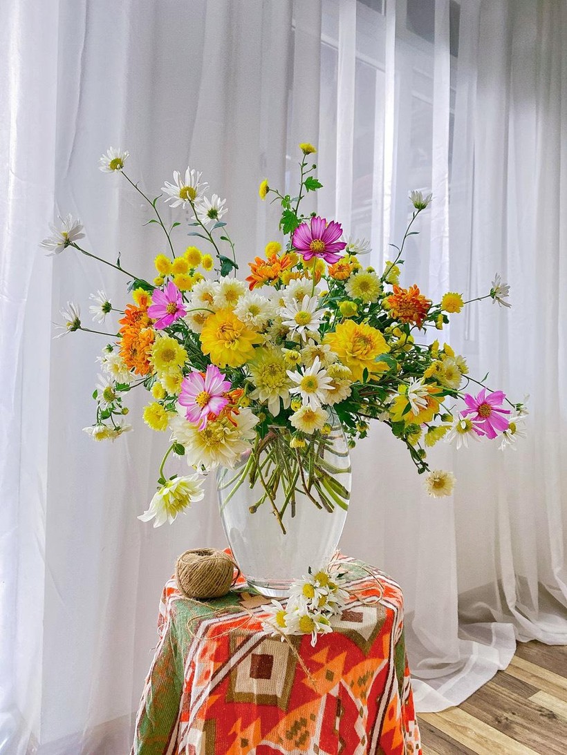 Cách trồng hoa thược dược bằng cành