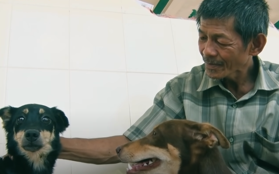 Người đàn ông 54 tuổi vô gia cư, nhặt ve chai nuôi đàn chó 30 con gây xúc động trên truyền hình - Ảnh 1.