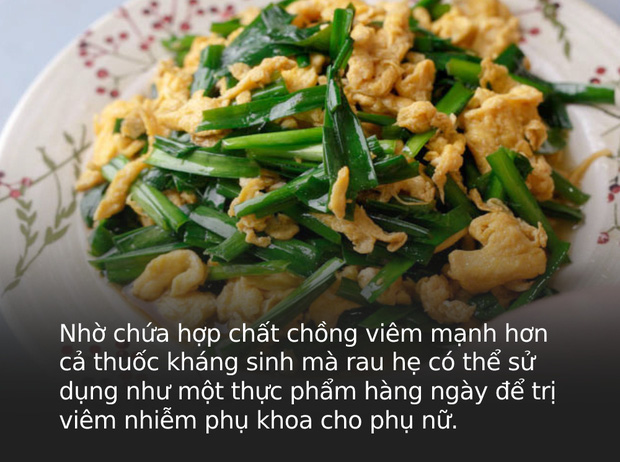 Lương y tiết lộ loại rau rẻ tiền nhưng ĐẠI BỔ: Phụ nữ ăn nhiều suốt đời chẳng sợ viêm nhiễm, lại giúp chồng sung mãn đến bất ngờ - Ảnh 1.