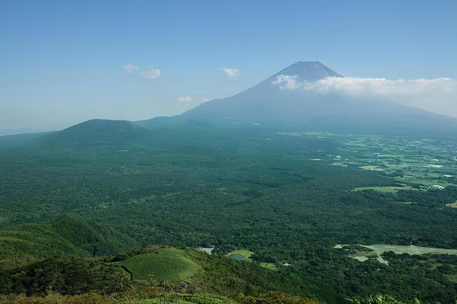 Khu rừng tự sát Aokigahara và bí ẩn Ubasute rúng động Nhật Bản - Ảnh 1.