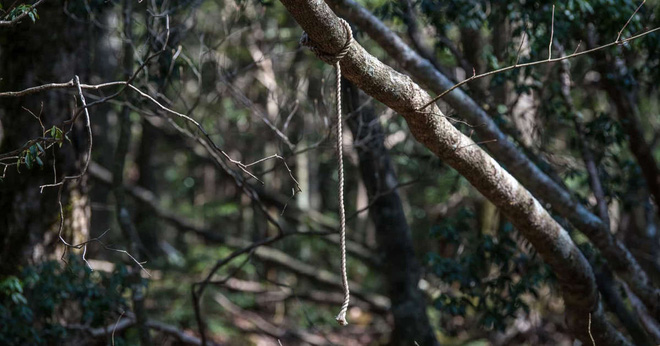 Khu rừng tự sát Aokigahara và bí ẩn Ubasute rúng động Nhật Bản - Ảnh 4.