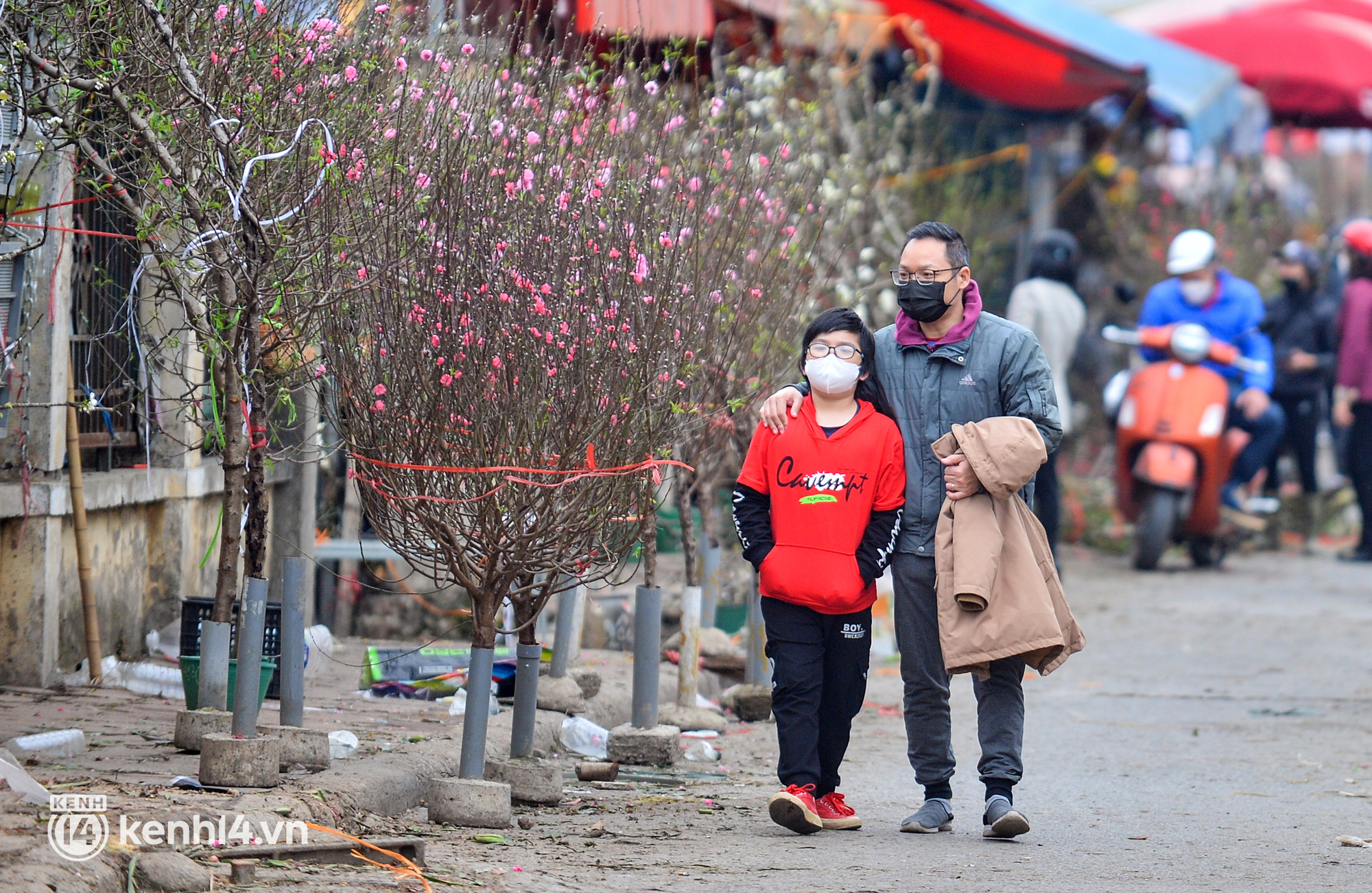 Ảnh: Sau Tết, hoa l&ecirc; rừng b&aacute;n tr&agrave;n lan ngo&agrave;i phố, người d&acirc;n H&agrave; Nội &ugrave;n &ugrave;n đến mua - Ảnh 7.