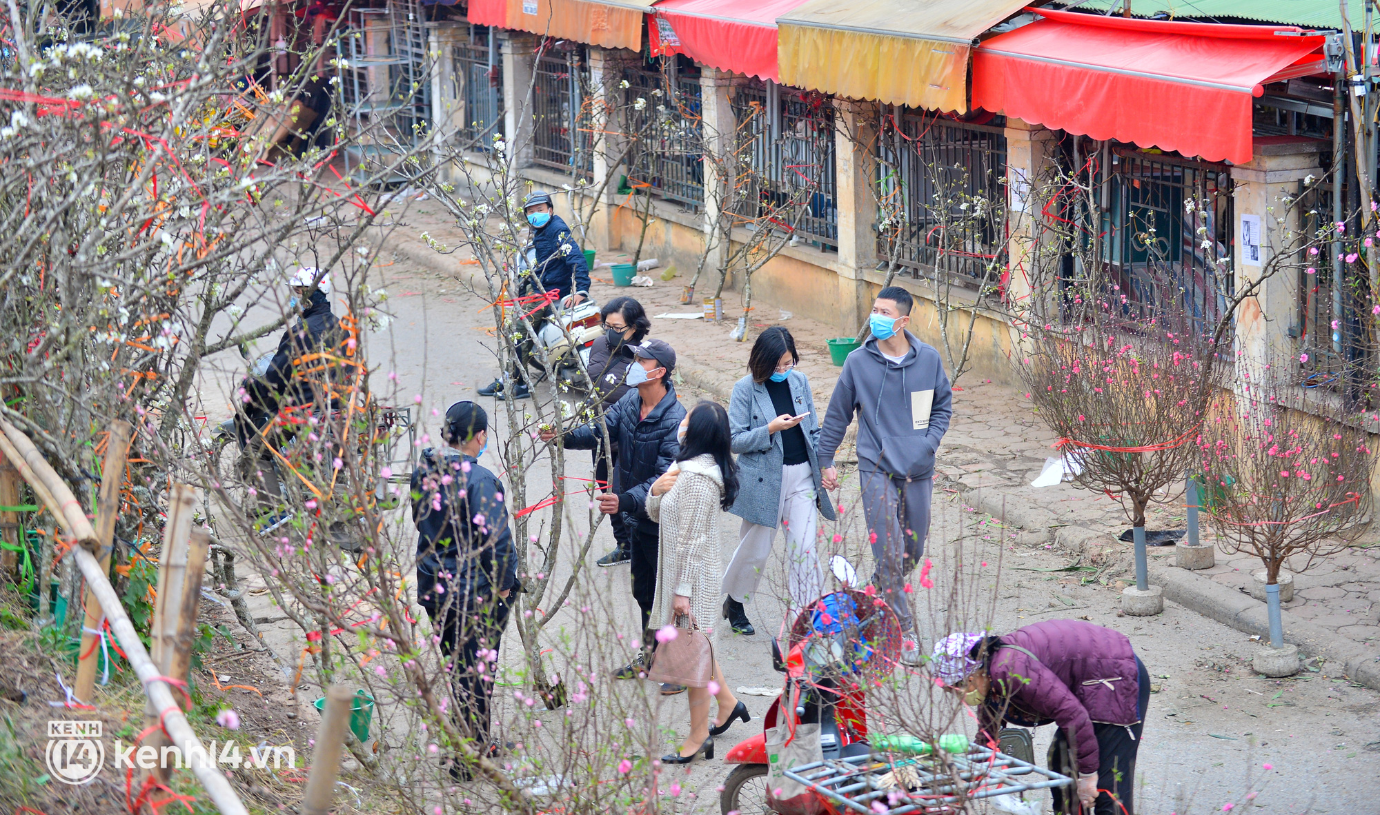 Ảnh: Sau Tết, hoa l&ecirc; rừng b&aacute;n tr&agrave;n lan ngo&agrave;i phố, người d&acirc;n H&agrave; Nội &ugrave;n &ugrave;n đến mua - Ảnh 3.