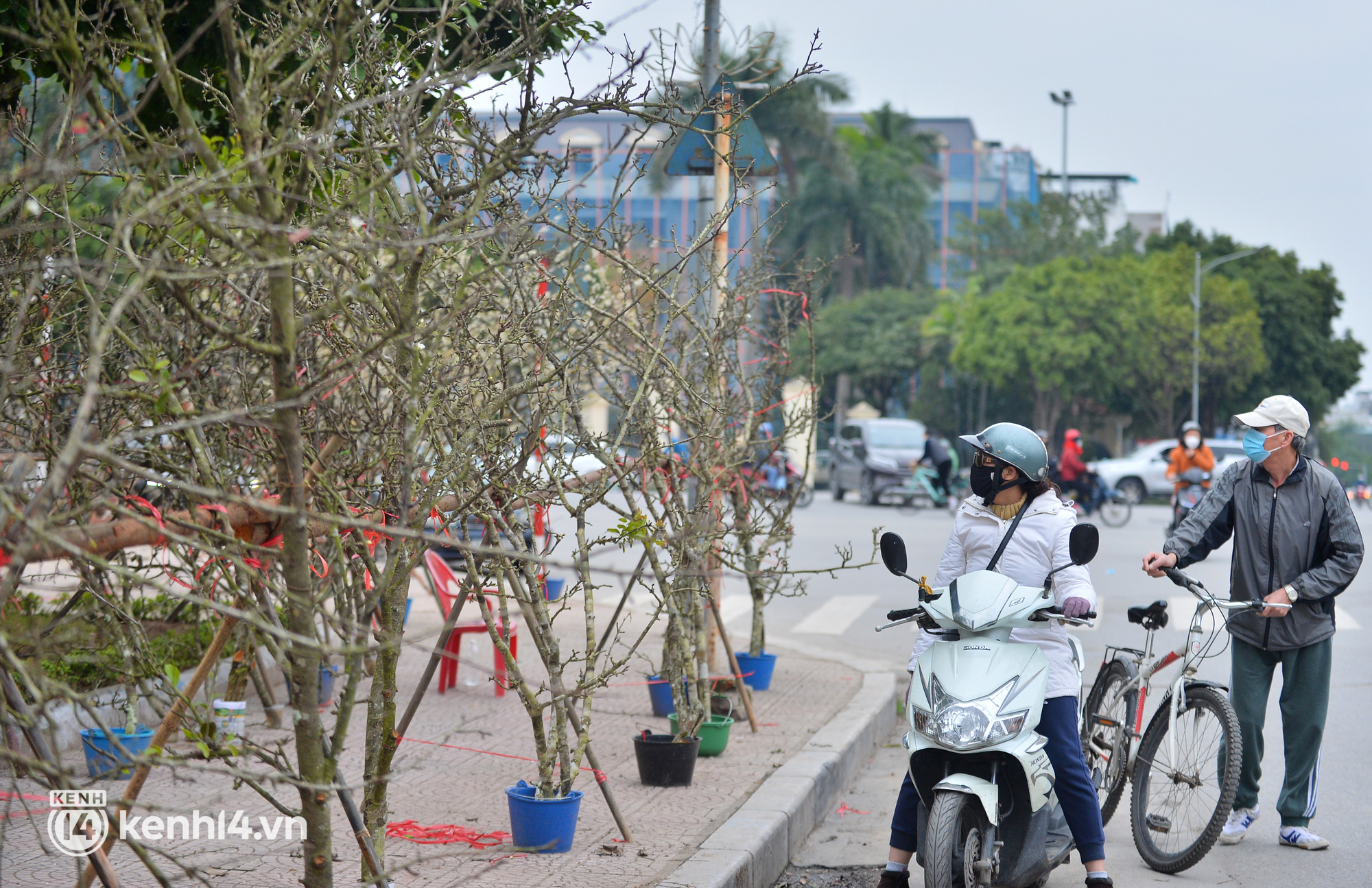 Ảnh: Sau Tết, hoa l&ecirc; rừng b&aacute;n tr&agrave;n lan ngo&agrave;i phố, người d&acirc;n H&agrave; Nội &ugrave;n &ugrave;n đến mua - Ảnh 12.
