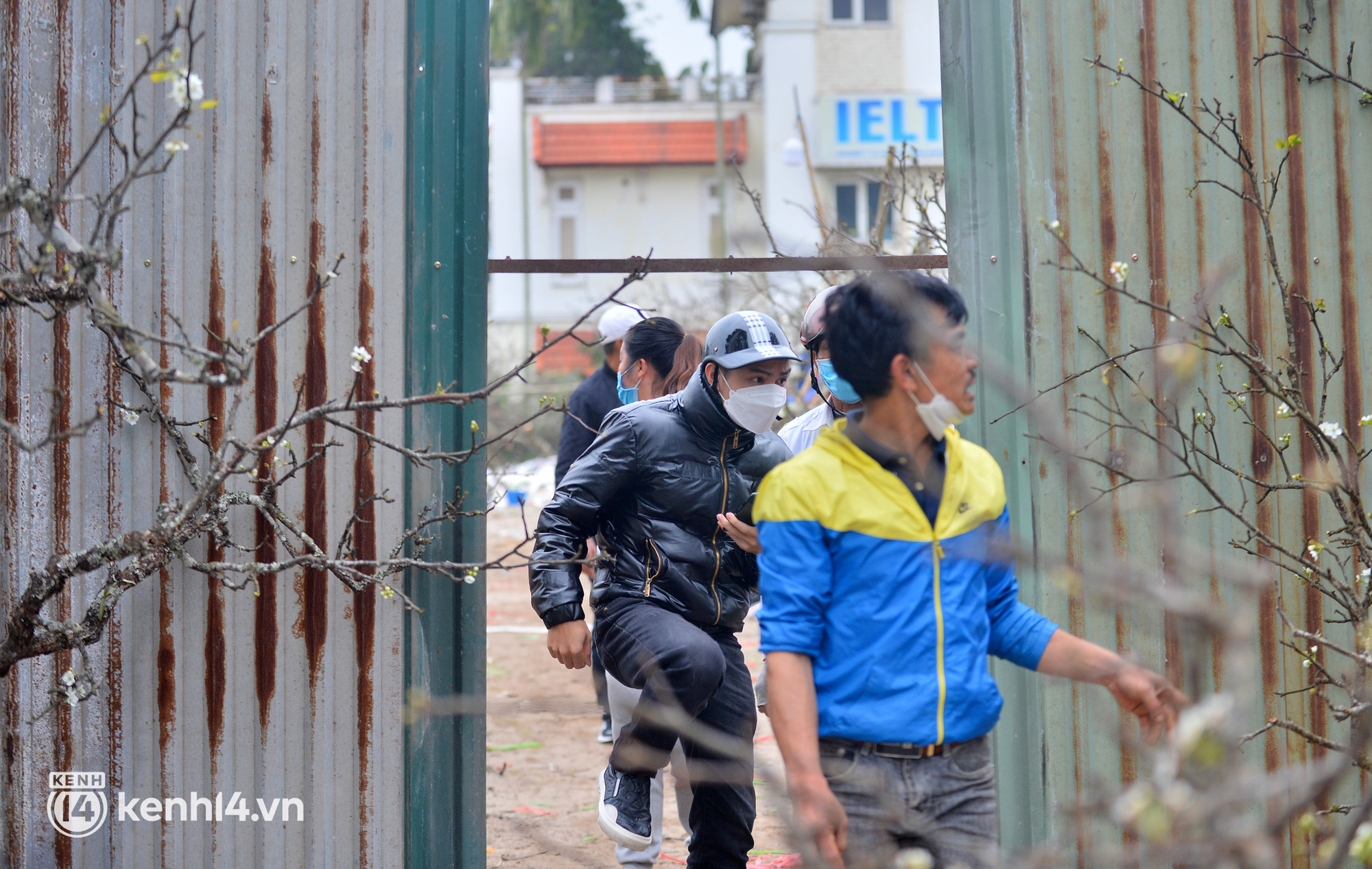 Ảnh: Sau Tết, hoa l&ecirc; rừng b&aacute;n tr&agrave;n lan ngo&agrave;i phố, người d&acirc;n H&agrave; Nội &ugrave;n &ugrave;n đến mua - Ảnh 11.