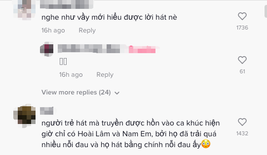 Có 1 ca khúc viral tóp tóp nhưng phải đến khi Nam Em hát dân tình mới gật gù hiểu ra ý nghĩa là gì, điều cả chính chủ cũng không làm được? - Ảnh 6.