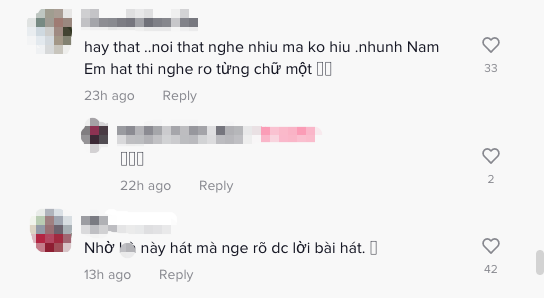 Có 1 ca khúc viral tóp tóp nhưng phải đến khi Nam Em hát dân tình mới gật gù hiểu ra ý nghĩa là gì, điều cả chính chủ cũng không làm được? - Ảnh 8.