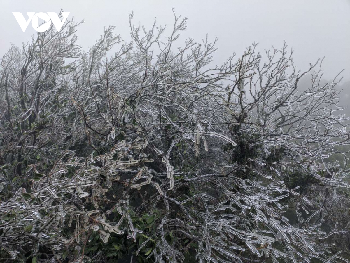 Miền Bắc đang đ&oacute;n đợt r&eacute;t l&agrave; 1 trong 6 đợt c&oacute; nhiệt độ thấp nhất trong 40 năm trở lại đ&acirc;y - Ảnh 2.