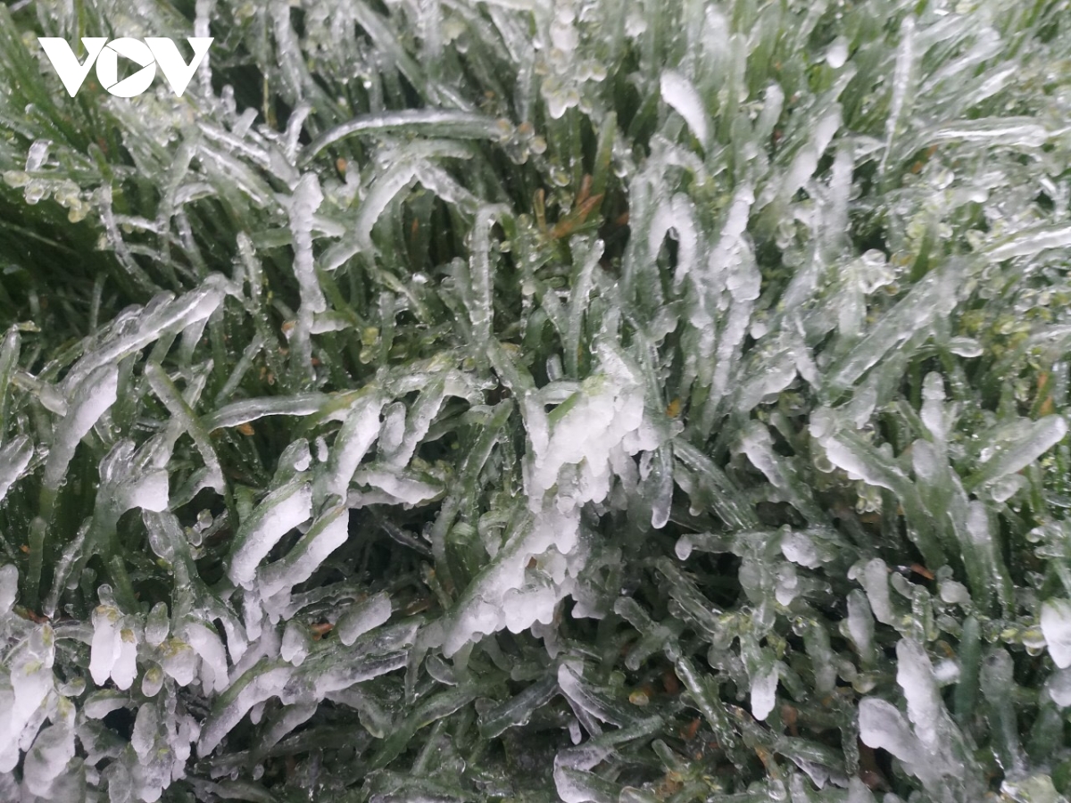 Miền Bắc đang đ&oacute;n đợt r&eacute;t l&agrave; 1 trong 6 đợt c&oacute; nhiệt độ thấp nhất trong 40 năm trở lại đ&acirc;y - Ảnh 3.