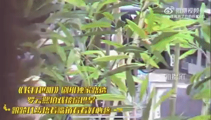 La V&acirc;n Hi bị nh&oacute;m người bu đ&aacute;nh tr&ecirc;n phim trường, &aacute;nh mắt đ&aacute;ng thương l&agrave;m fan x&oacute;t cả ruột - Ảnh 2.