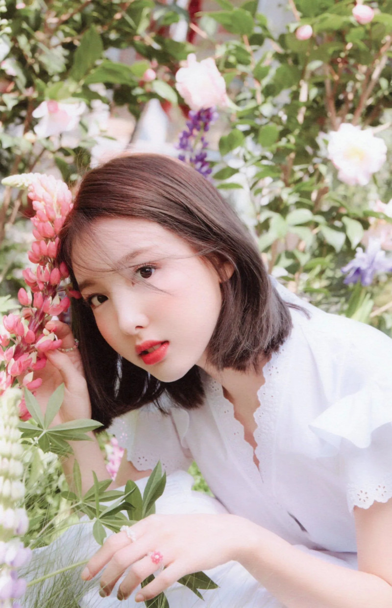 4 tiêu chuẩn sắc đẹp tại Hàn Quốc: Jennie - Han So Hee sexy làm mưa làm gió có đọ lại được IU xinh dịu dàng? - Ảnh 34.