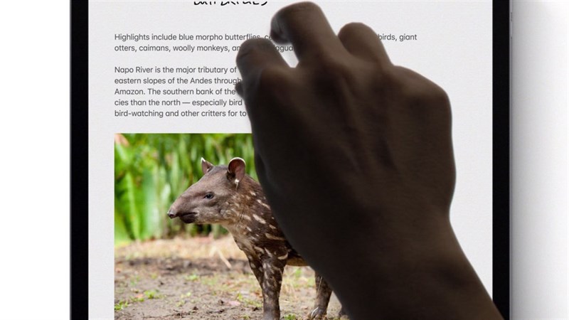 Ảo thuật 3 ng&oacute;n tay tr&ecirc;n iPhone gi&uacute;p bạn gửi ảnh sang iPad, Zalo, Messenger... chỉ 3 gi&acirc;y - Ảnh 2.