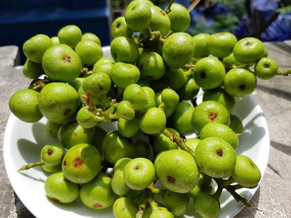 3 loại trái cây chị em nên ăn khi “tới tháng” để giảm đau, kiểm soát nội tiết tố, điều hòa kinh nguyệt và đẩy lùi bệnh về tử cung - Ảnh 3.