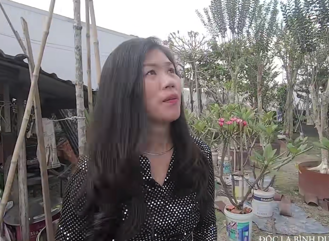 Nữ đại gia Thủ Đức sở hữu 3 cây dừa độc lạ nhất Việt Nam: Ăn ngủ nhà dân để thu mua bằng được, trả 800 triệu cũng không bán! - Ảnh 1.