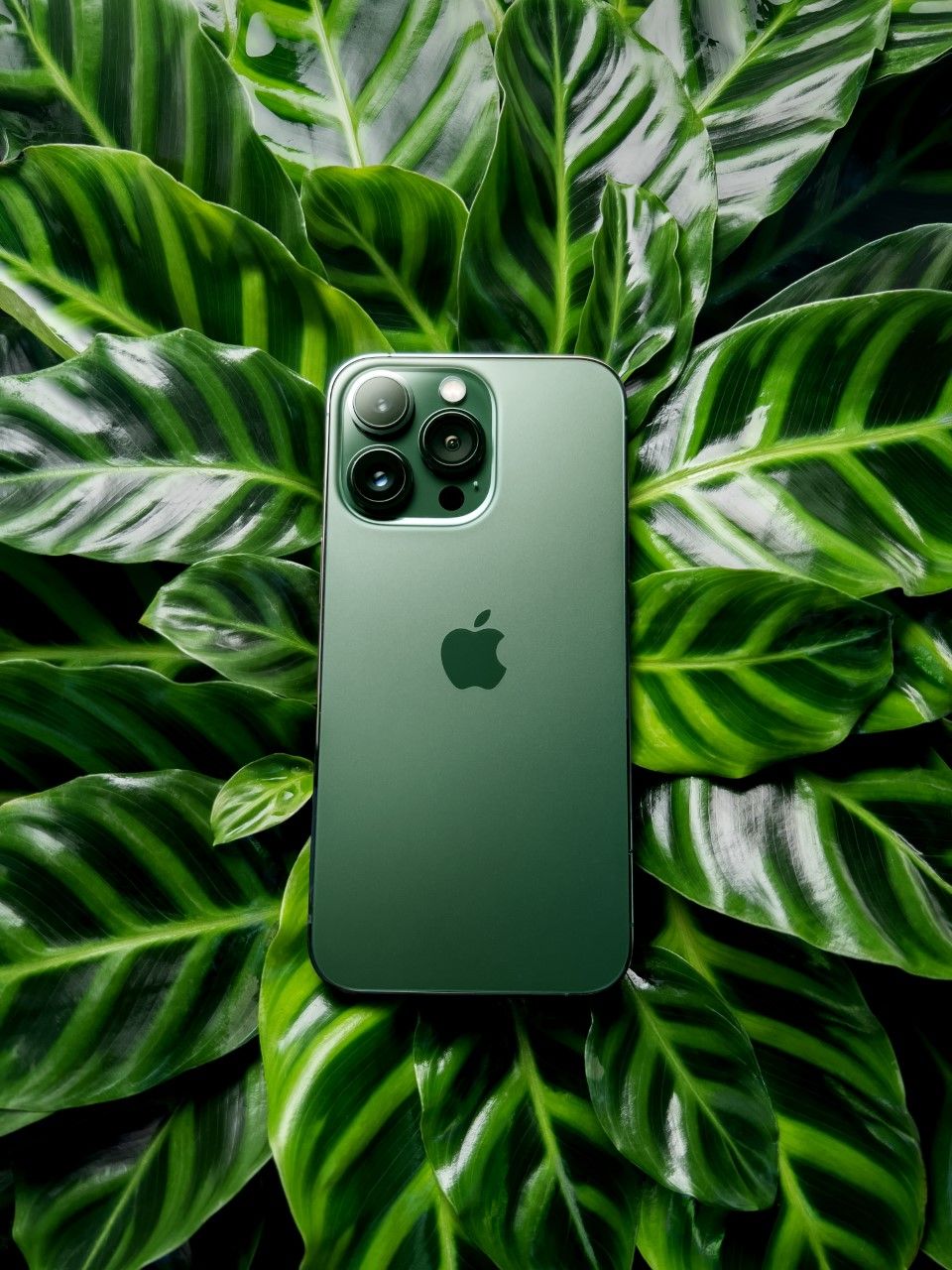 iPhone 13 màu xanh được khen ngợi hết lời, dự sẽ là màu sắc hot nhất hè 2022 này!