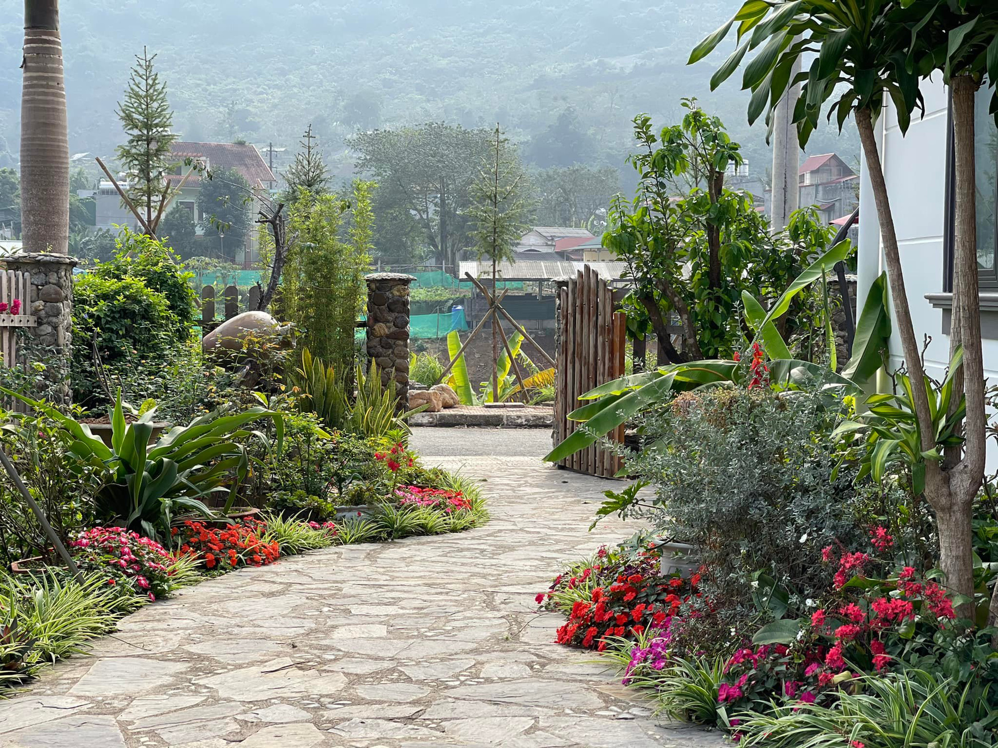 Chuyển về ngôi nhà rộng 700m2, mẹ đảm Hà Giang dành nửa diện tích để trồng vườn rau sạch hữu cơ, biến sỏi đá thành hoa trải dọc lối đi - Ảnh 1.