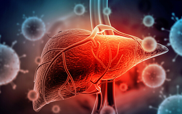 How long does it take to go from inflammation to cancer: there are 3 types of inflammation you absolutely must not ignore - Photo 3.