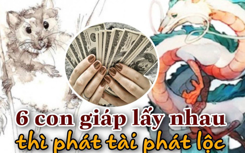 CUNG HOÀNG ĐẠO, tin tức Mới nhất 6 cặp con giáp cực hợp nhau, nếu "về chung một nhà" thì phát tài phát lộc, làm ăn tấn tới, giàu có 3 đời - Đọc tin tuc tại Kenh14.vn