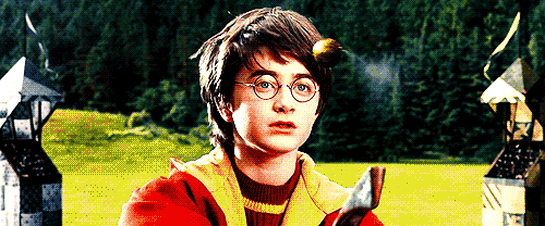 Harry Potter tung bản full không che sau hơn 20 năm giấu kín, 1 nhân vật từng bị cắt vai vô lý sẽ được lên hình đã đời? - Ảnh 2.