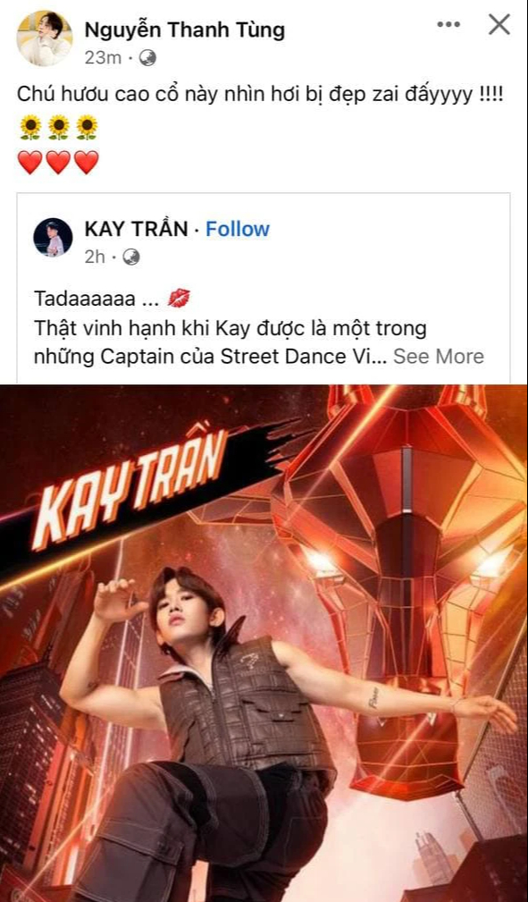 Kay Trần xác nhận tham gia show nhảy, nhưng tất cả những gì Sơn Tùng chú ý là... vẻ đẹp trai của gà cưng - Ảnh 1.