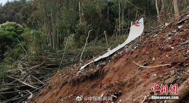 Hãng hàng không China Eastern đồng loạt đổi màu giao diện trên các nền tảng để tưởng niệm các nạn nhân trên chuyến bay tử thần - Ảnh 1.