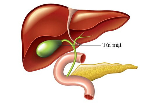 Câu đố Tiếng Việt: Túi gì nghe tên tưởng ngọt, hoá ra đắng ngắt khó lọt khỏi người? - Phải thông minh lắm mới đoán đúng! - Ảnh 2.