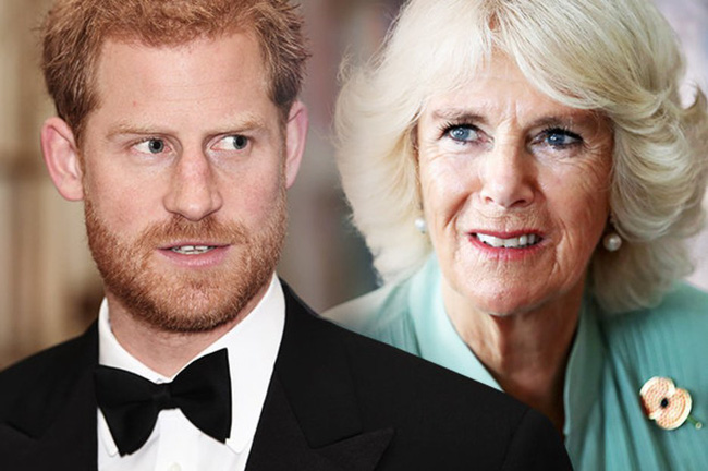 Hoàng tử Harry nhận lời cảnh báo khi muốn thay cố Công nương Diana đáp trả  mẹ kế Camilla
