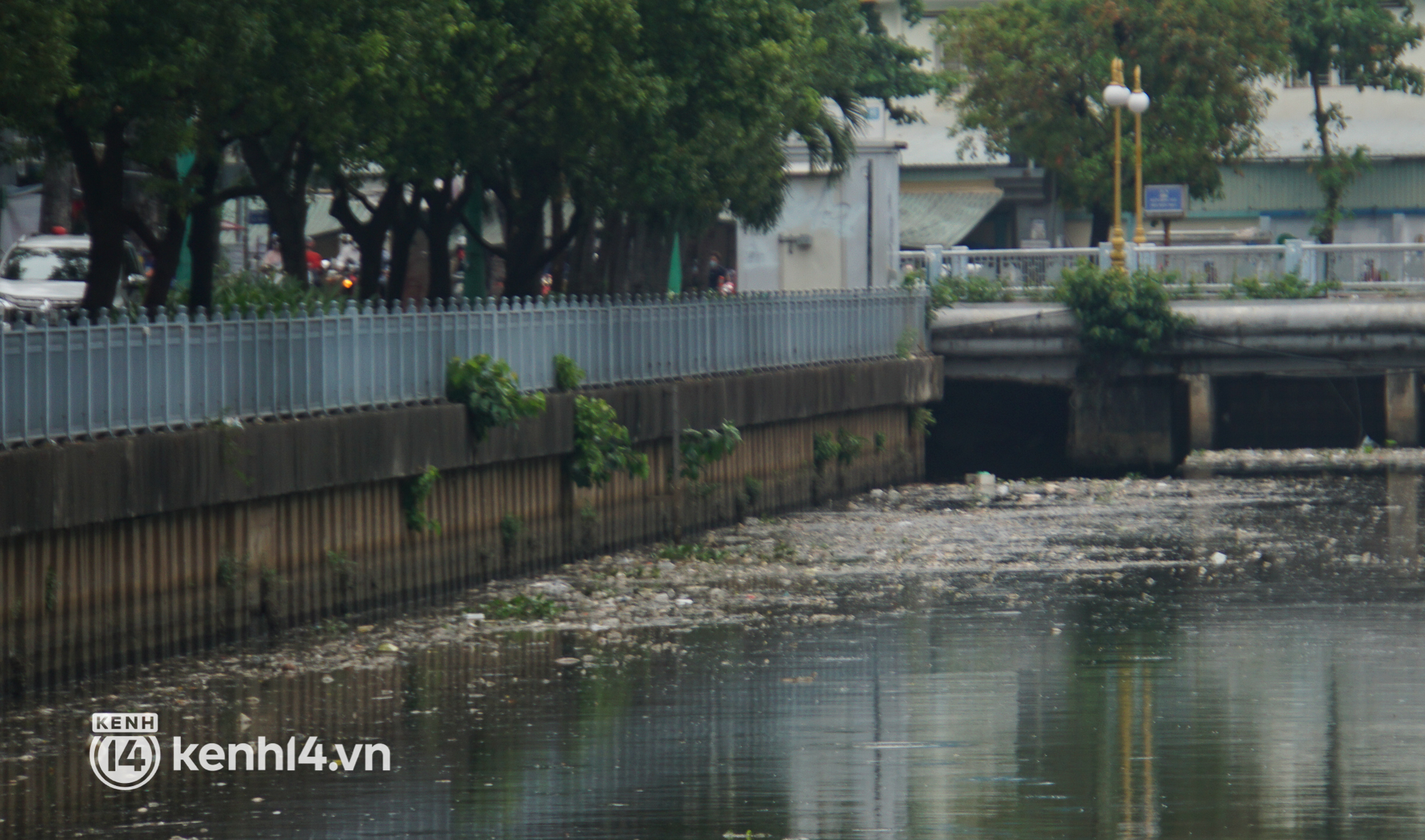 Cá chết lẫn trong rác thải nổi kín mặt kênh Nhiêu Lộc - Thị Nghè ở TP.HCM  - Ảnh 1.