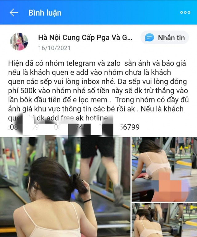 Bi hài chuyện sưu tập gà Tây  - Ảnh 4.