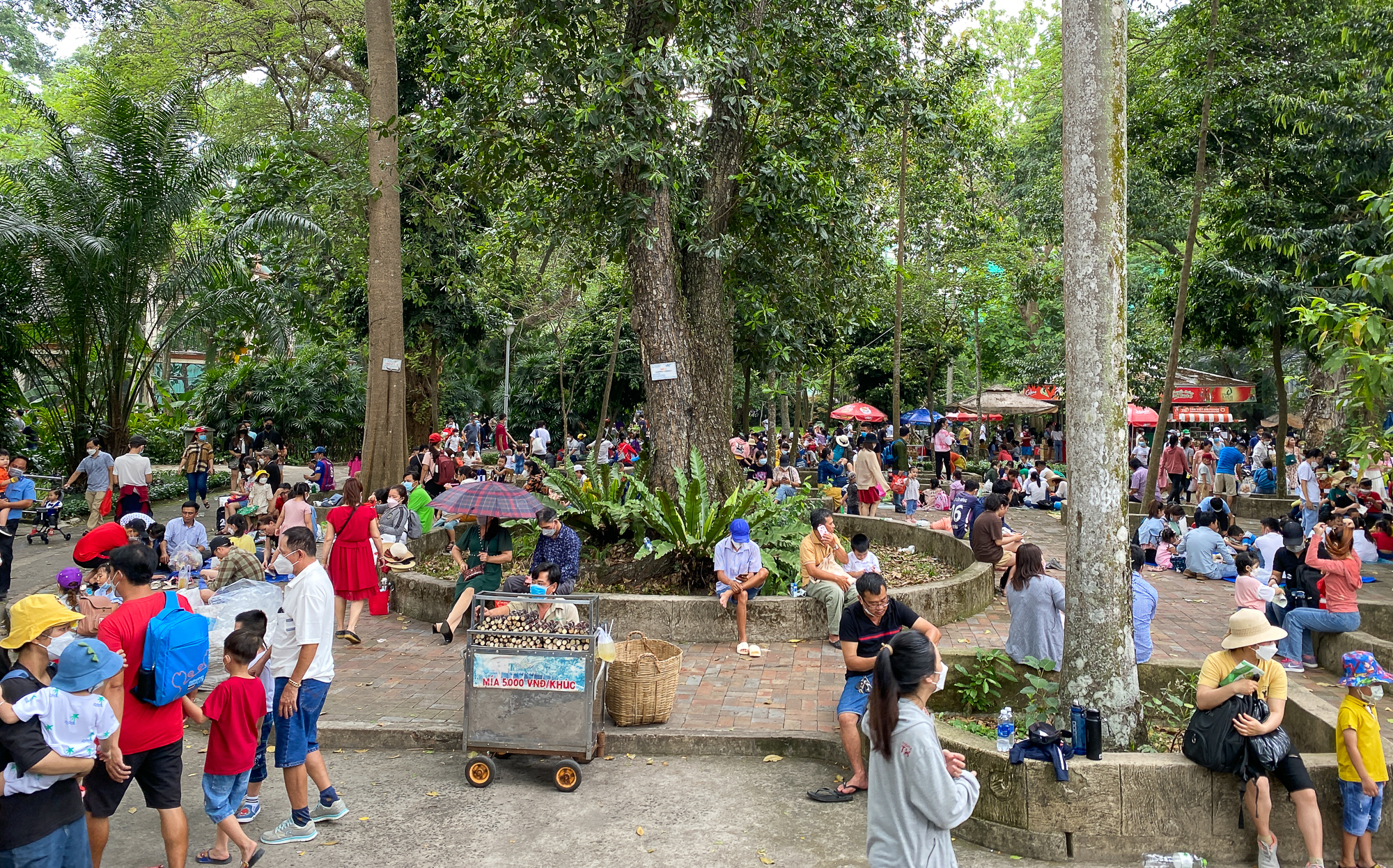 Saigon Zoo and Botanical Garden is crowded with people, guests bring suitcases to camp on the occasion of Hung King's death anniversary - Photo 15.