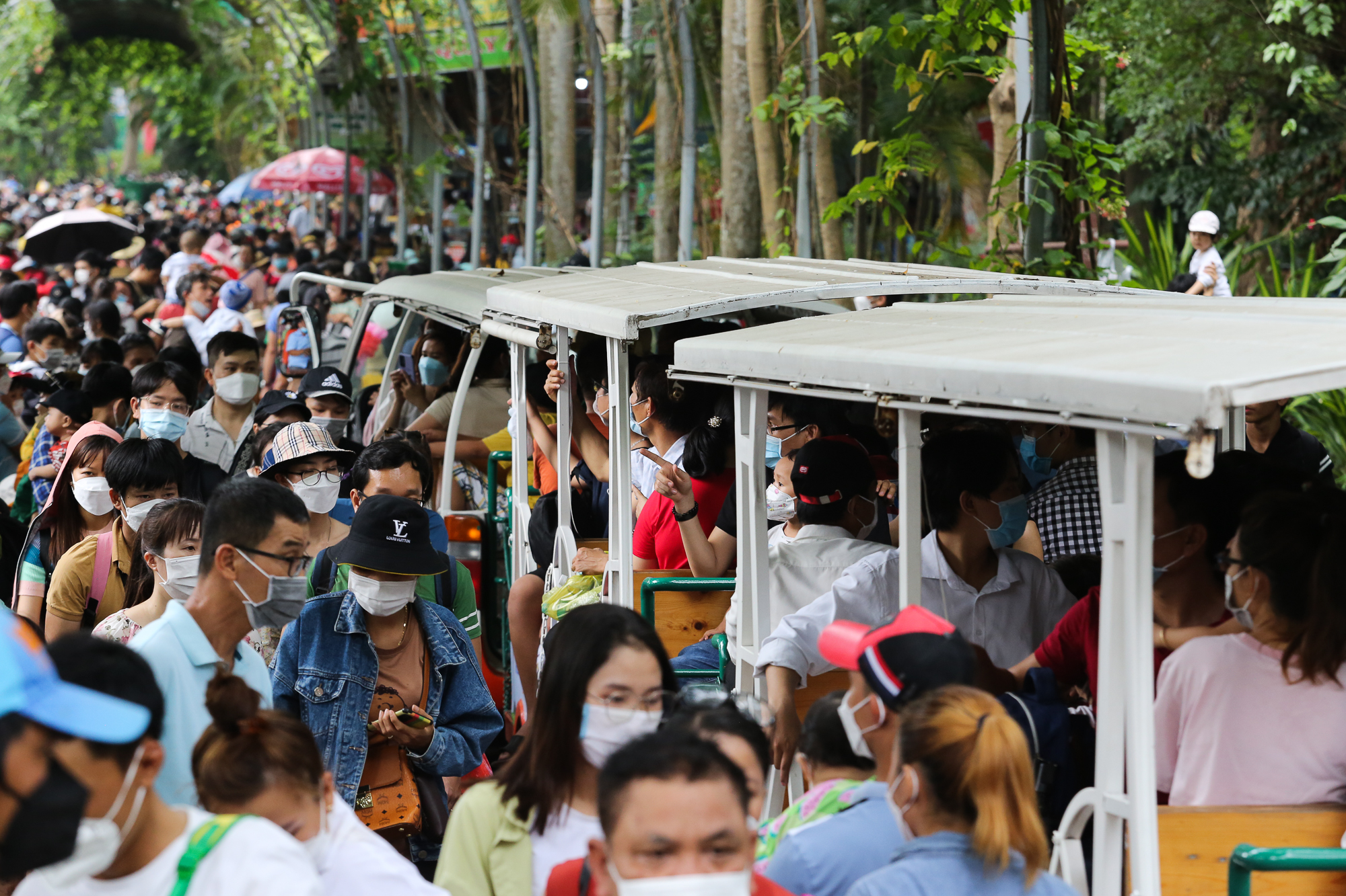 Saigon Zoo and Botanical Garden is crowded with people, guests bring suitcases to camp on the occasion of Hung King's death anniversary - Photo 9.