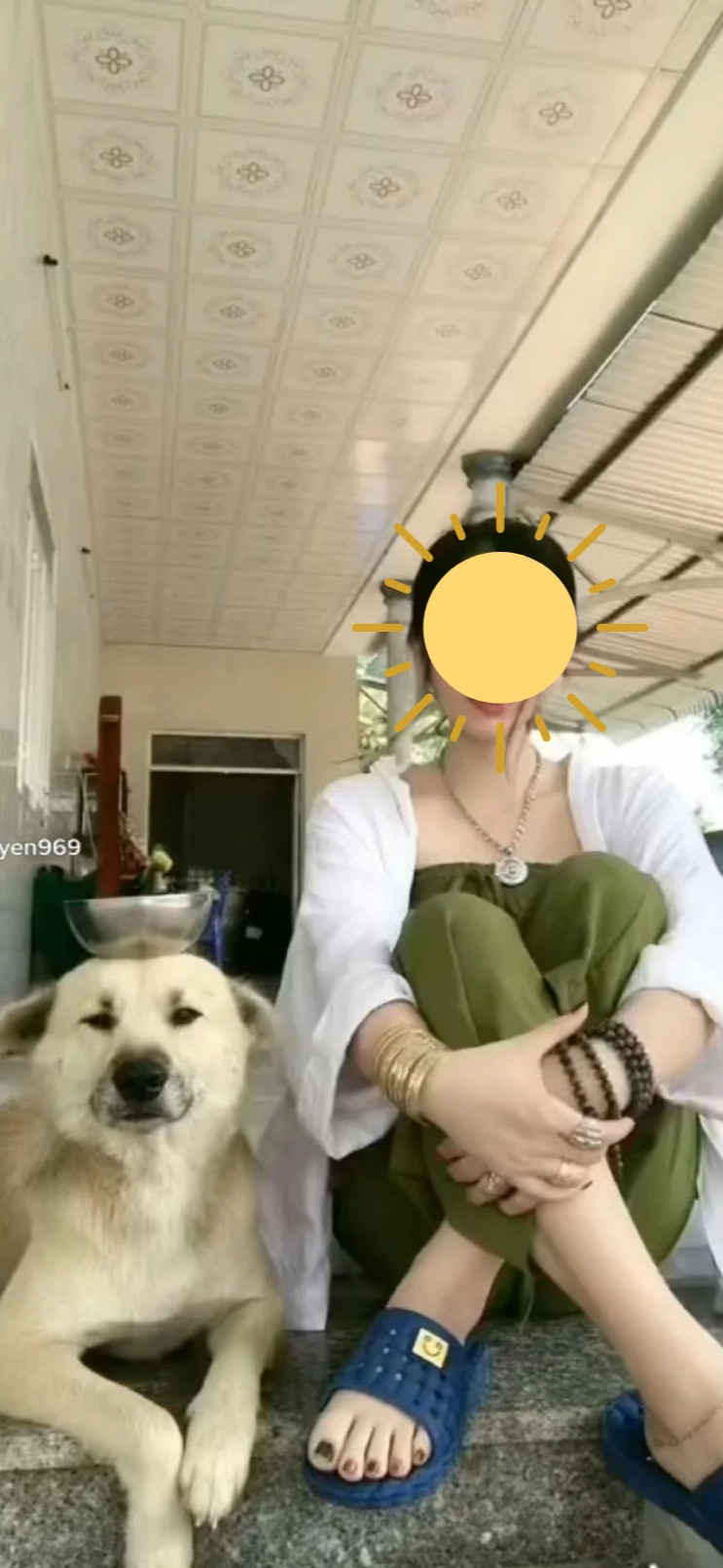 famous-dog-on-tiktok-blogtuan-info