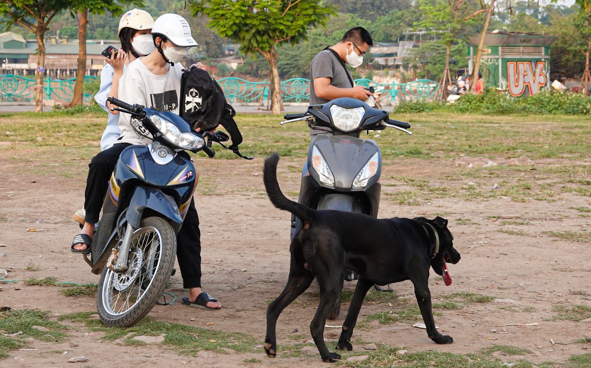 Hà Nội: Chó không xích, không rọ mõm vẫn chạy nhảy thoải mái nơi công cộng, phớt lờ lệnh bắt chó thả rông - Ảnh 9.