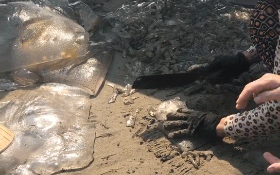 Cảnh tượng ngồi cắt sứa ngay giữa bãi biển đầy bùn cát khiến dân mạng tranh cãi về vấn đề vệ sinh thực phẩm - Ảnh 2.