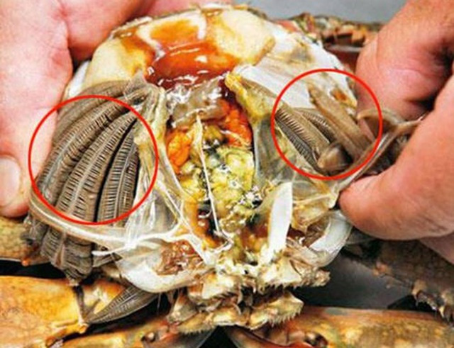 No matter how delicious 3 parts are, don't eat them on sea crabs, the doctor warns 4 types of people 1 piece of crab should not be touched lest they be hospitalized soon - Photo 2.