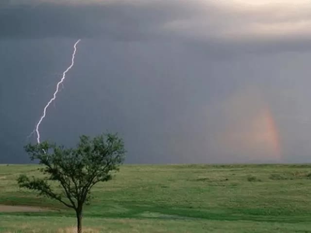 Thương t&acirc;m: Nam sinh lớp 5 ở Hải Dương bị s&eacute;t đ&aacute;nh tử vong khi đi t&igrave;m diều - Ảnh 1.